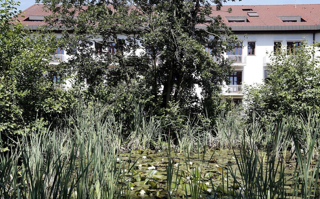 Tagungs- Und Bildungszentrum Steinbach/Taunus Steinbach im Taunus Eksteriør bilde